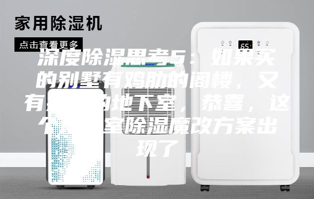 深度除濕思考5：如果買的別墅有雞肋的閣樓，又有操心的地下室，恭喜，這個地下室除濕魔改方案出現(xiàn)了