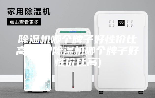 除濕機哪個牌子好性價比高(家用除濕機哪個牌子好性價比高)