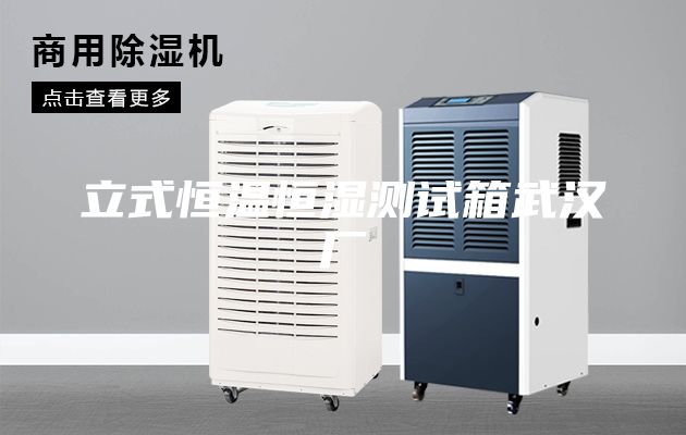 立式恒溫恒濕測試箱武漢廠