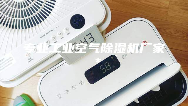 專業(yè)工業(yè)空氣除濕機(jī)廠家＊