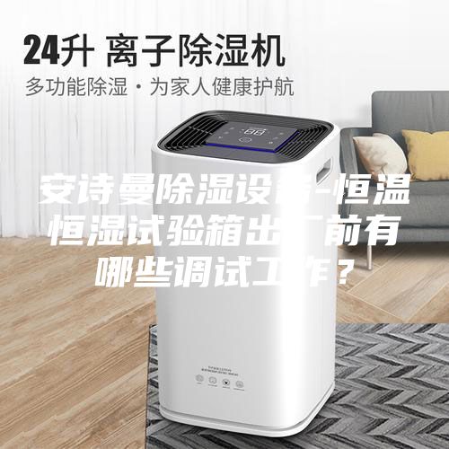 安詩曼除濕設備-恒溫恒濕試驗箱出廠前有哪些調試工作？