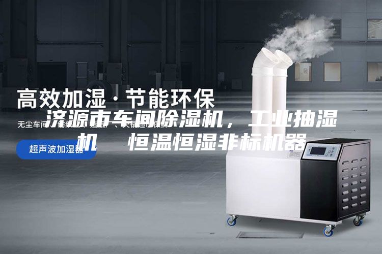 濟源市車間除濕機，工業(yè)抽濕機  恒溫恒濕非標(biāo)機器