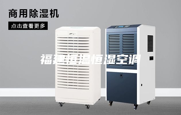 福建恒溫恒濕空調(diào)