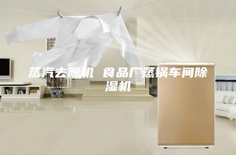蒸汽去除機(jī) 食品廠蒸鍋車間除濕機(jī)