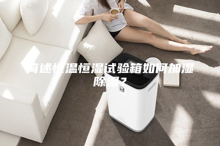 簡(jiǎn)述恒溫恒濕試驗(yàn)箱如何加濕除濕？
