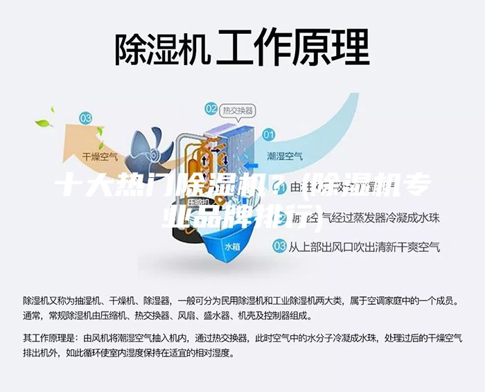 十大熱門(mén)除濕機(jī)？(除濕機(jī)專(zhuān)業(yè)品牌排行)