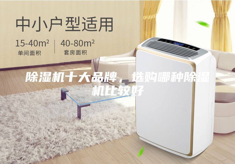 除濕機(jī)十大品牌，選購(gòu)哪種除濕機(jī)比較好