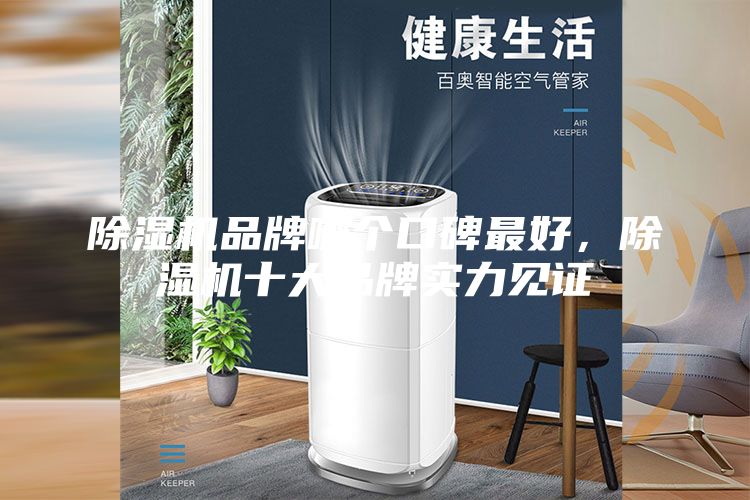 除濕機(jī)品牌哪個(gè)口碑最好,除濕機(jī)十大品牌實(shí)力見證