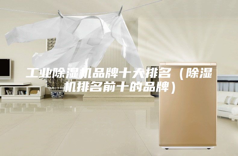 工業(yè)除濕機品牌十大排名(除濕機排名前十的品牌)