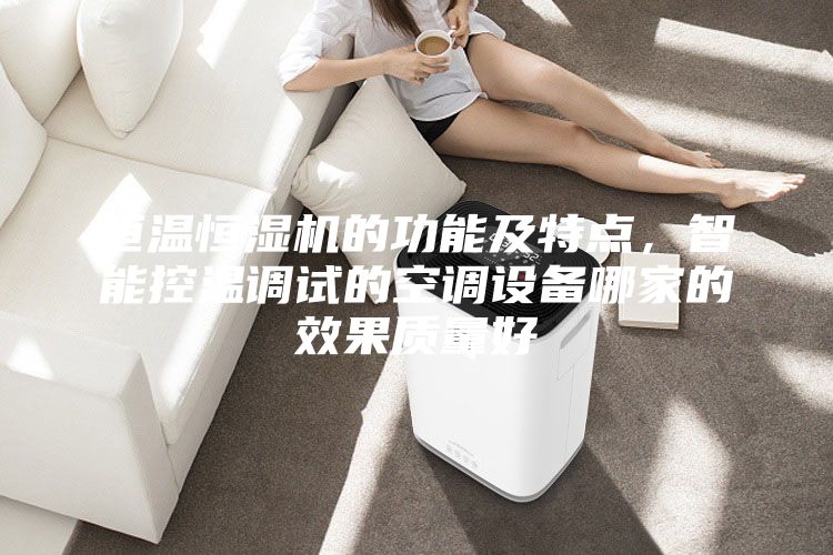 恒溫恒濕機的功能及特點,智能控溫調試的空調設備哪家的效果質量好