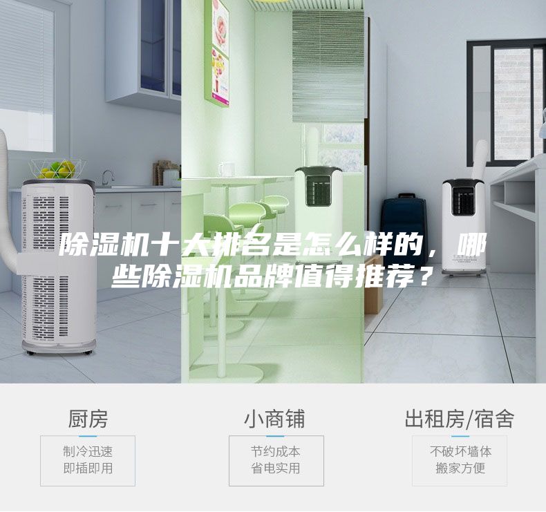 除濕機十大排名是怎么樣的，哪些除濕機品牌值得推薦？