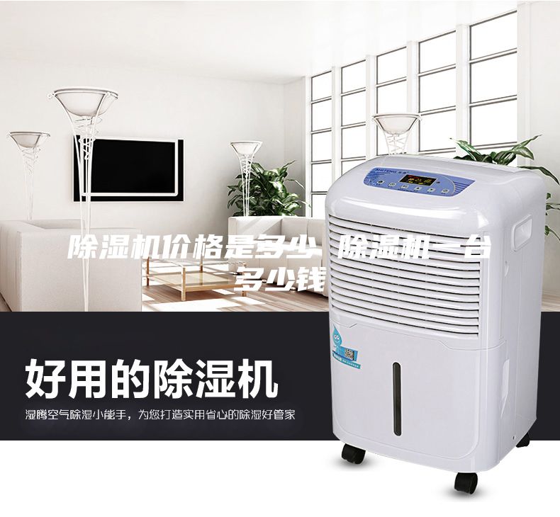 除濕機(jī)價(jià)格是多少 除濕機(jī)一臺多少錢