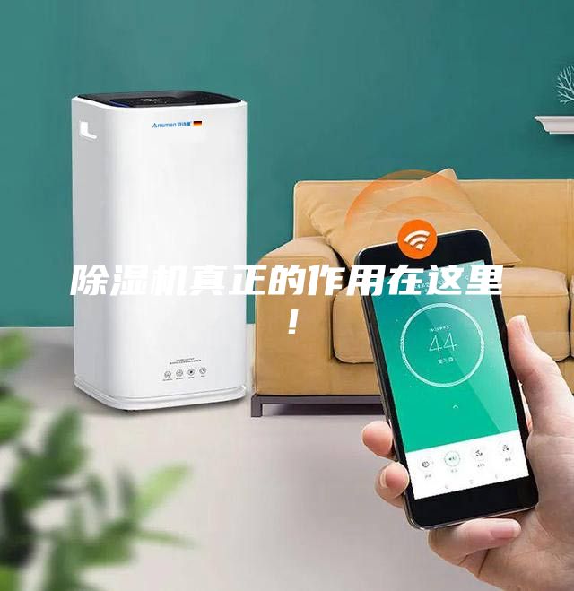 除濕機真正的作用在這里！