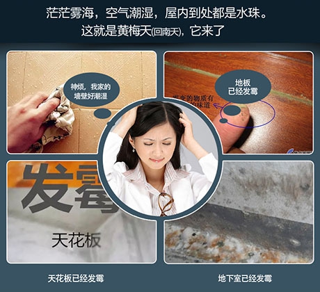 除濕機除濕效率怎么看才正確？