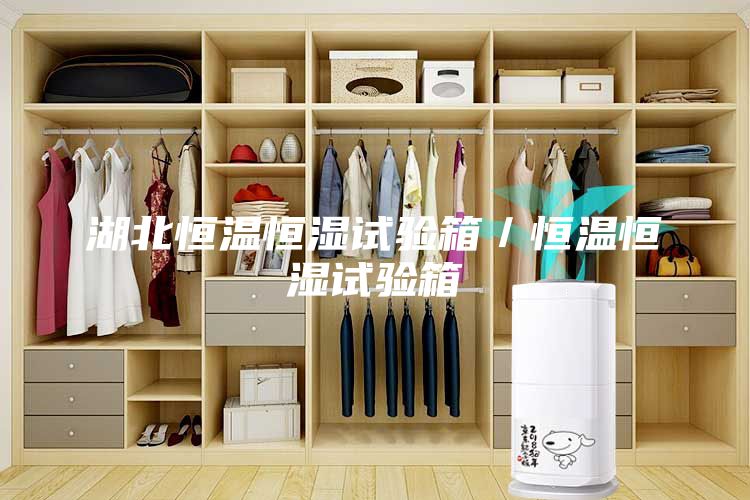 湖北恒溫恒濕試驗箱／恒溫恒濕試驗箱
