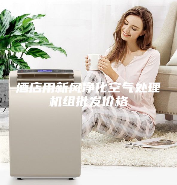 酒店用新風(fēng)凈化空氣處理機(jī)組批發(fā)價(jià)格