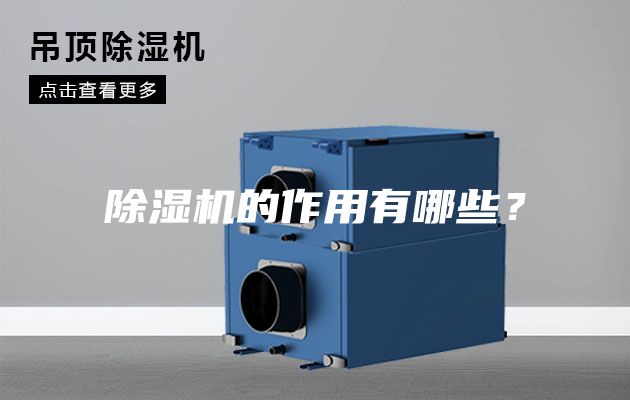 除濕機的作用有哪些？