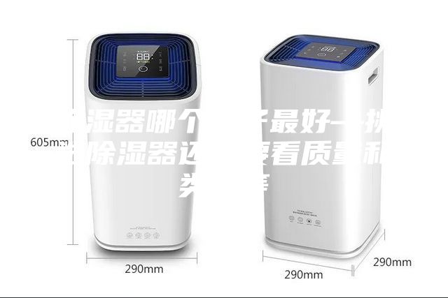 除濕器哪個牌子最好—挑選除濕器還需要看質量和類型等