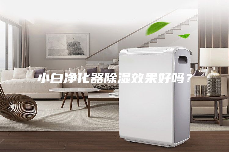 小白凈化器除濕效果好嗎？