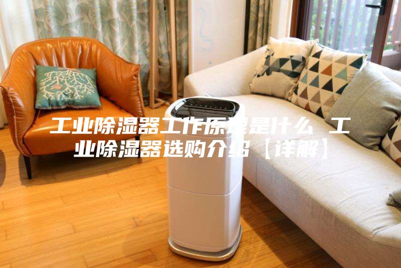 工業除濕器工作原理是什么 工業除濕器選購介紹【詳解】