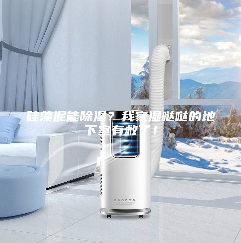 硅藻泥能除濕？我家濕噠噠的地下室有救了！